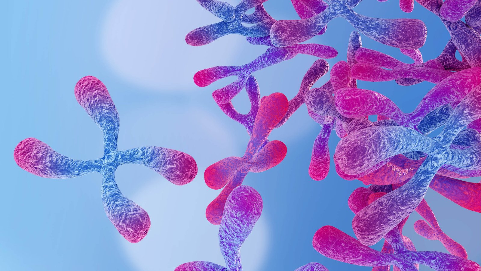 Examiner-led Biology tuition in Cardiff, UK