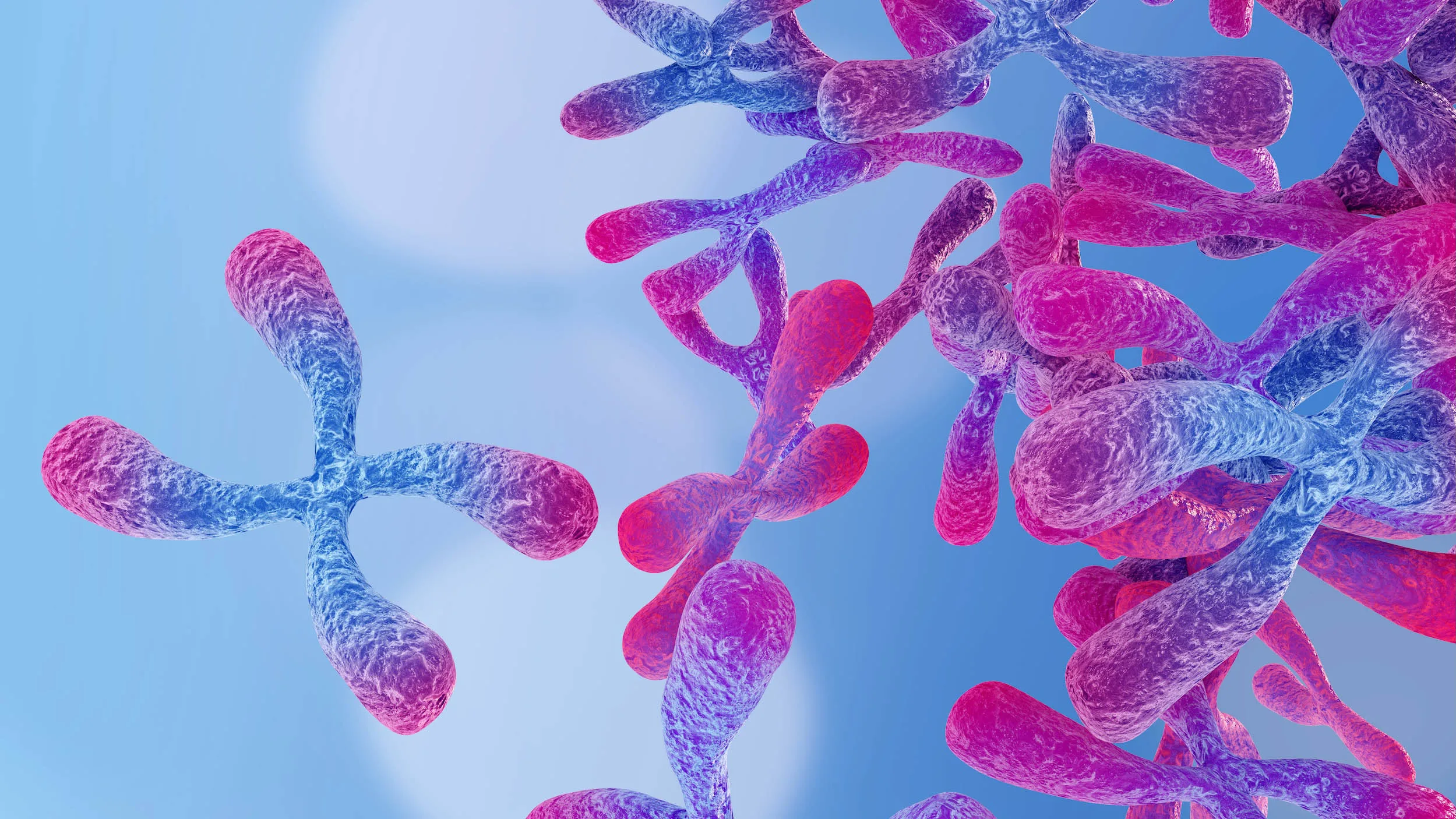 Examiner-led Biology tuition in Cardiff, UK